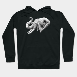 fant Hoodie